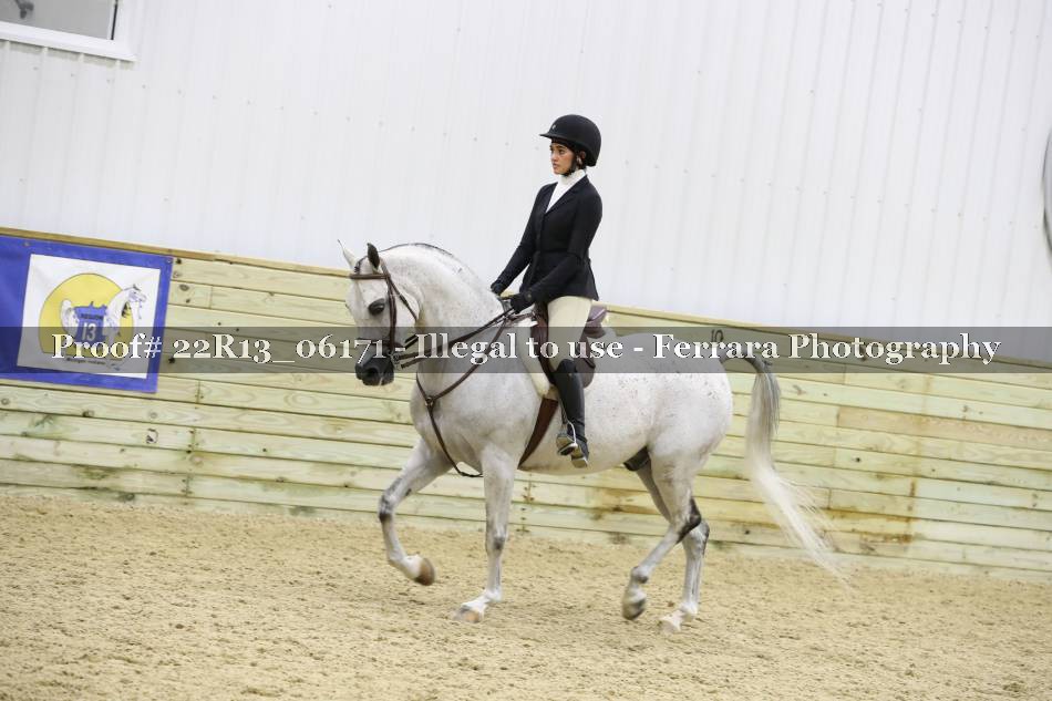 Proof 22R13_06171