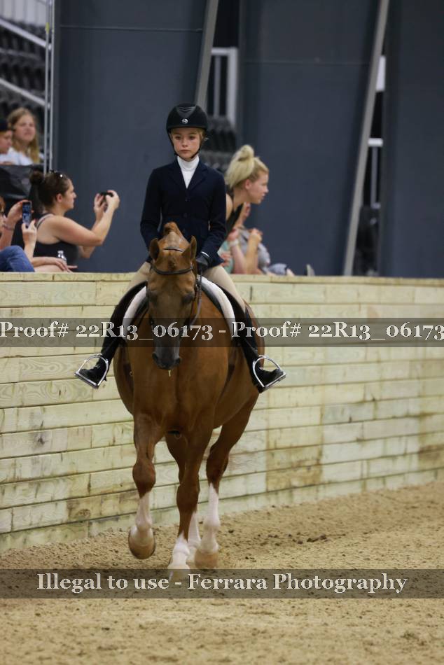 Proof 22R13_06173