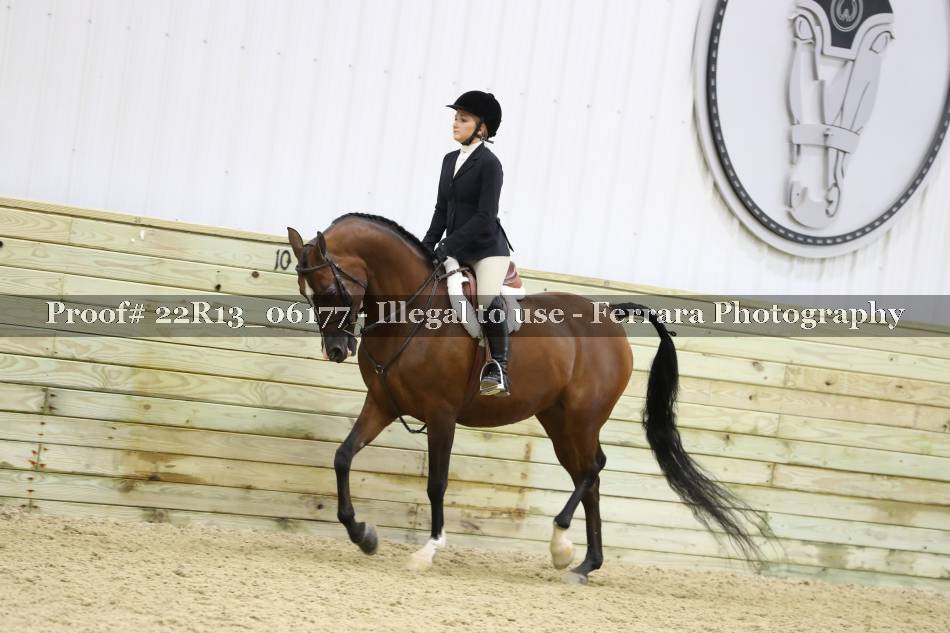 Proof 22R13_06177