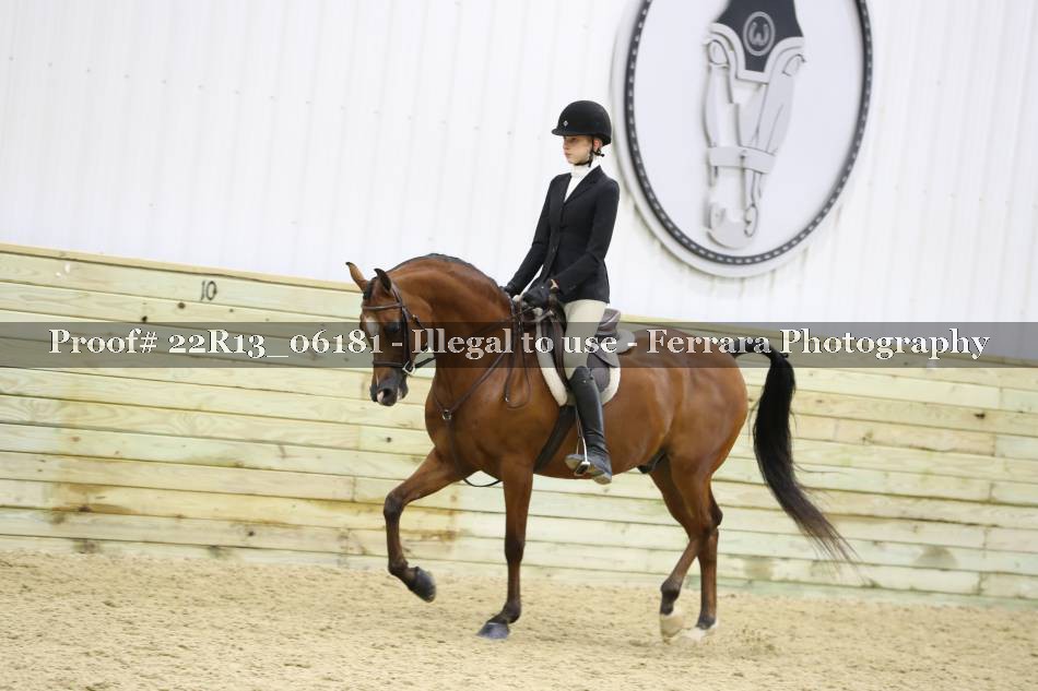 Proof 22R13_06181