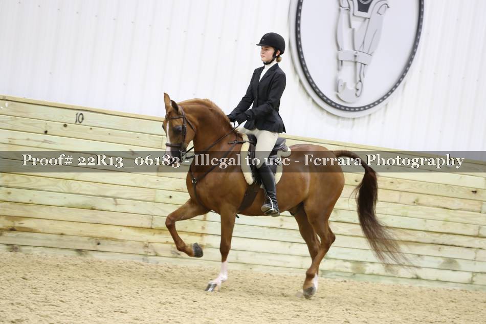 Proof 22R13_06183