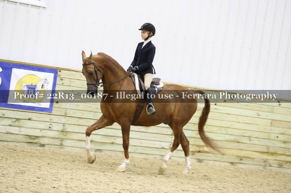 Proof 22R13_06187