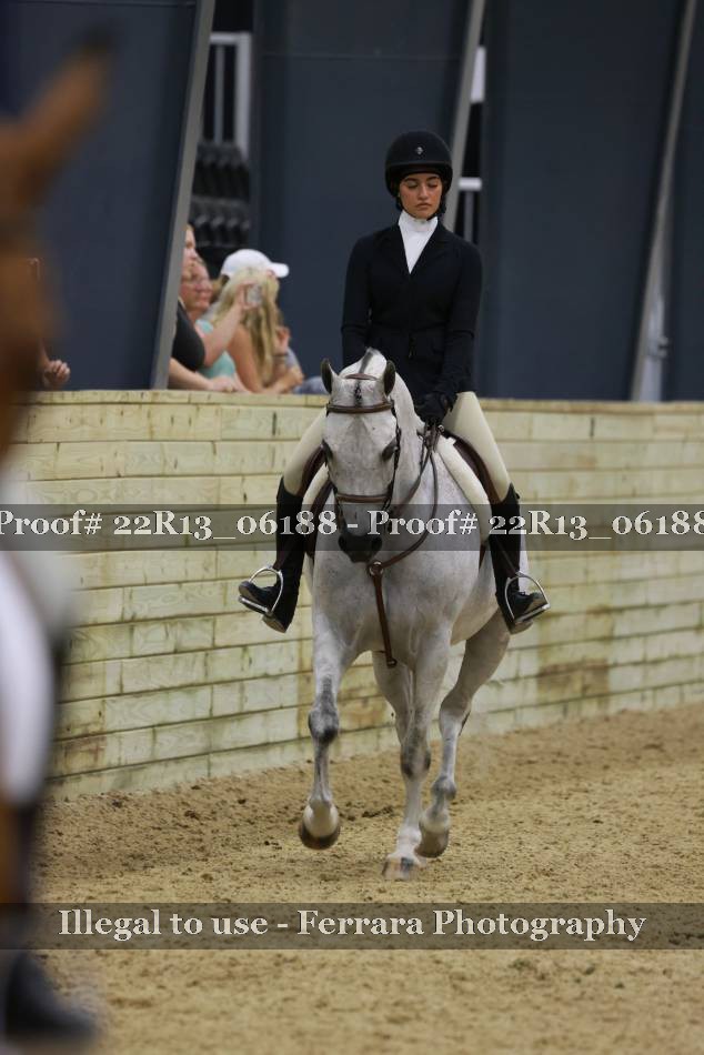 Proof 22R13_06188