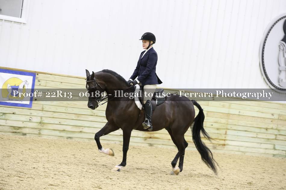 Proof 22R13_06189