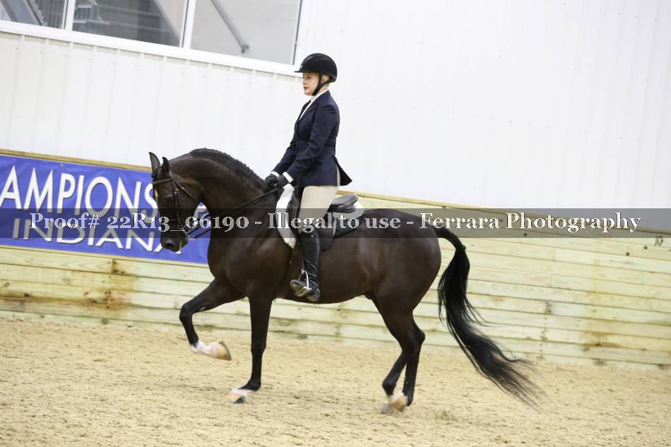 Proof 22R13_06190