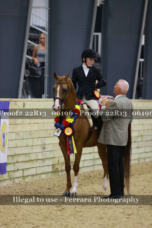Proof 22R13_06196