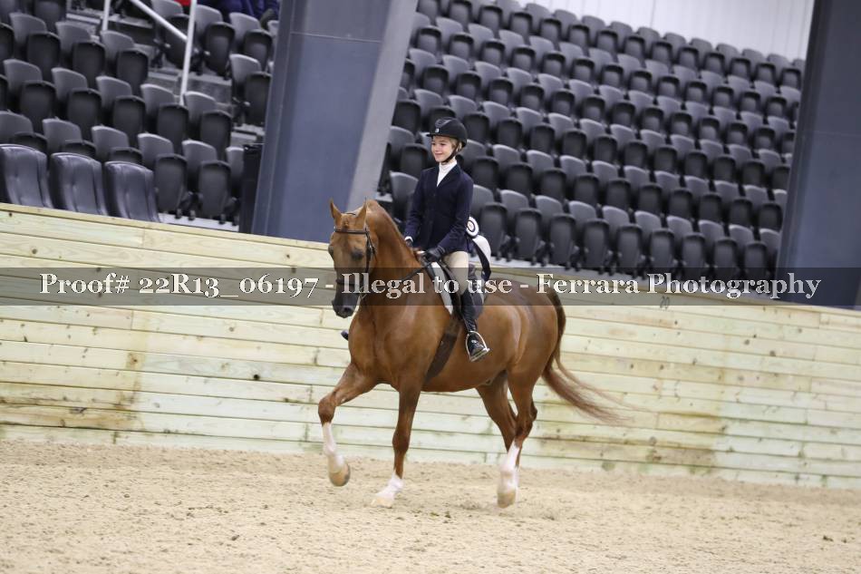 Proof 22R13_06197
