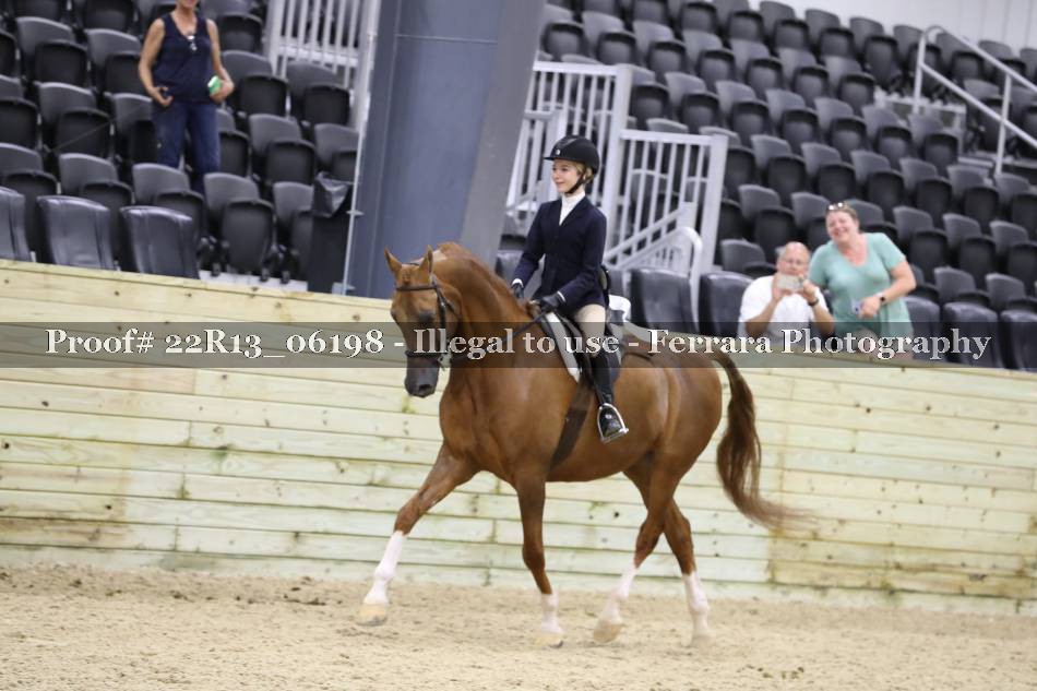 Proof 22R13_06198