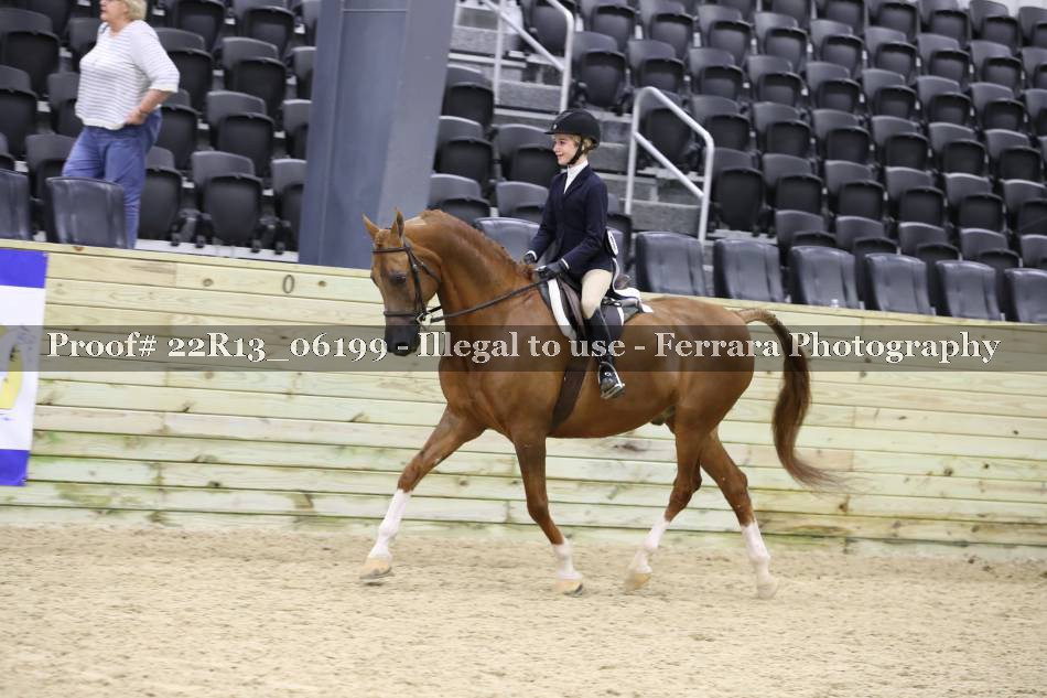 Proof 22R13_06199
