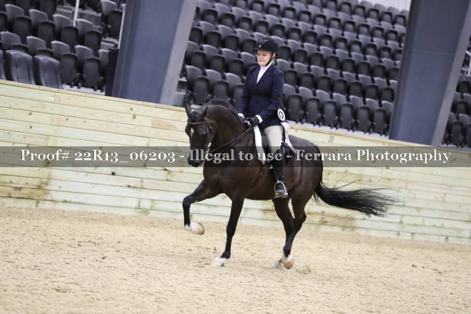 Proof 22R13_06203