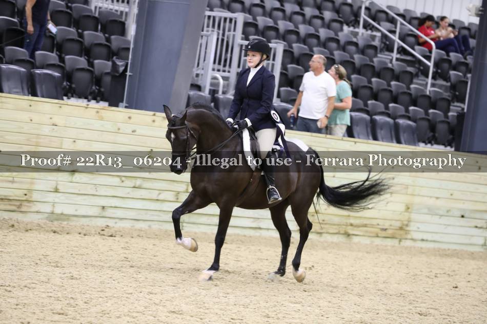Proof 22R13_06204