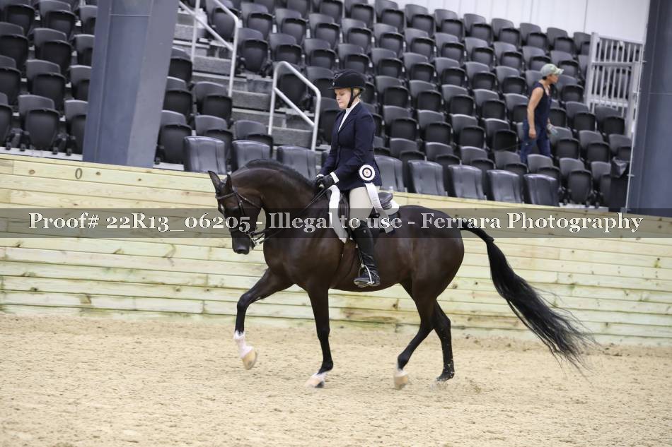 Proof 22R13_06205