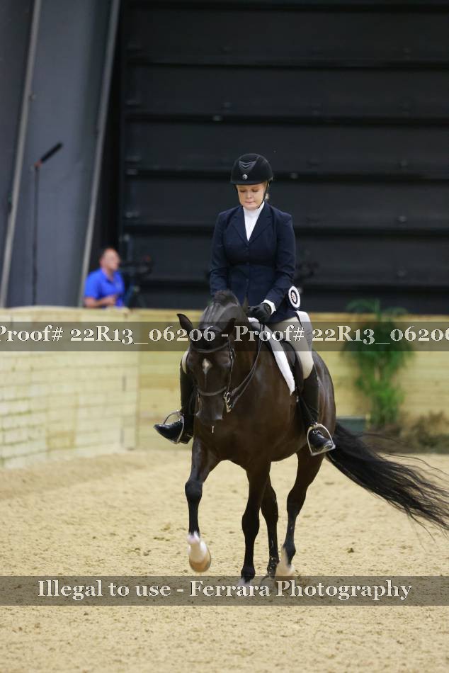 Proof 22R13_06206