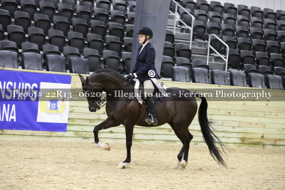 Proof 22R13_06207