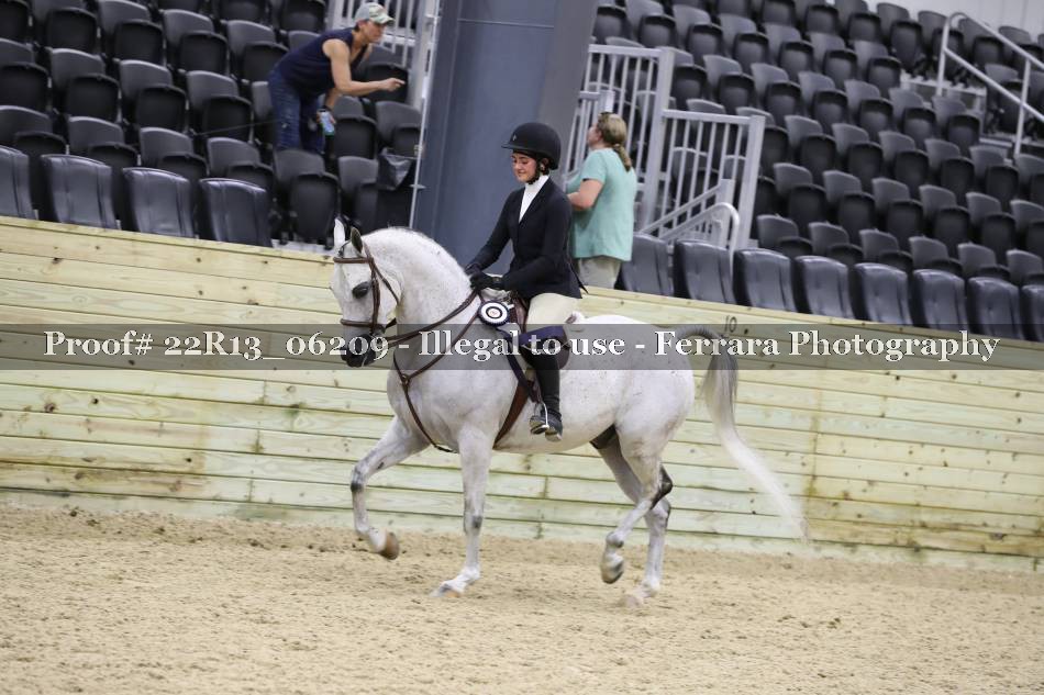 Proof 22R13_06209