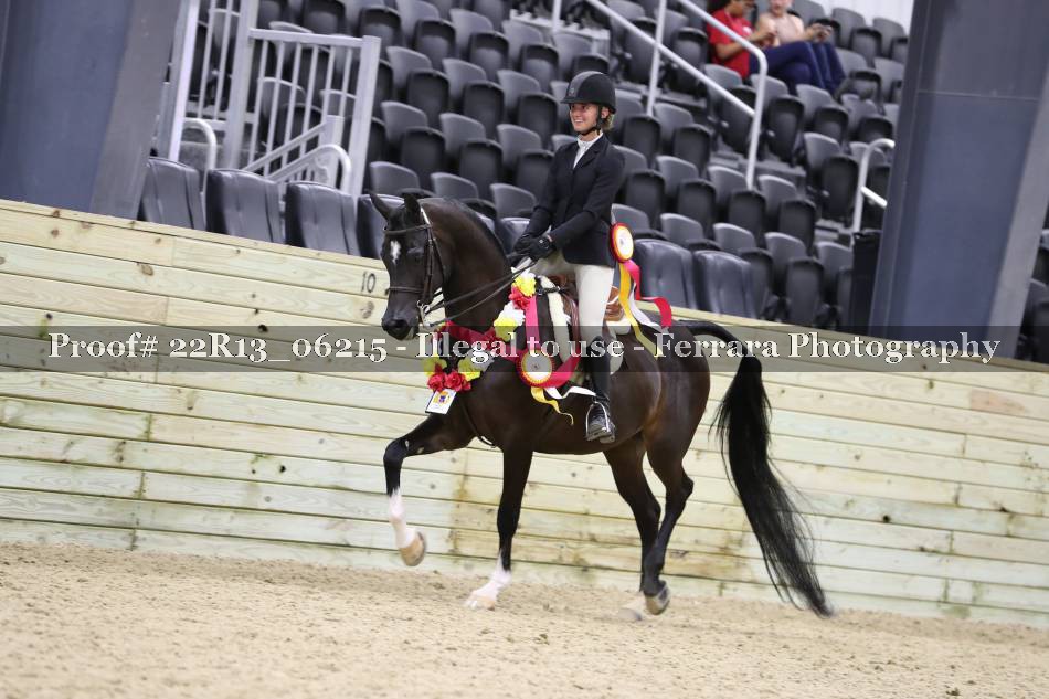 Proof 22R13_06215