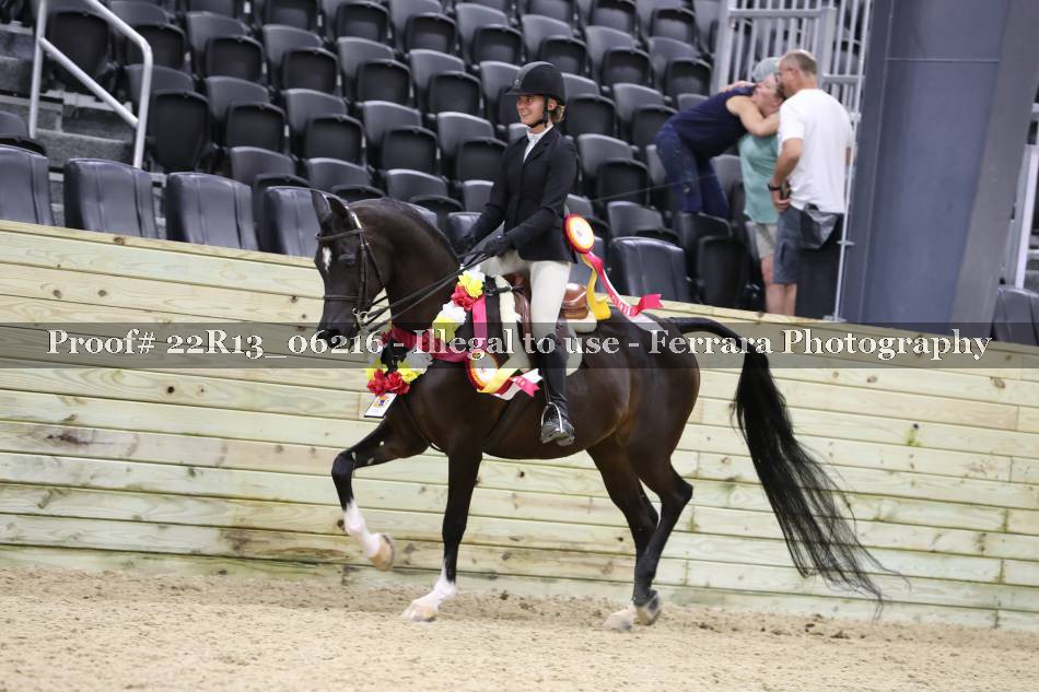 Proof 22R13_06216