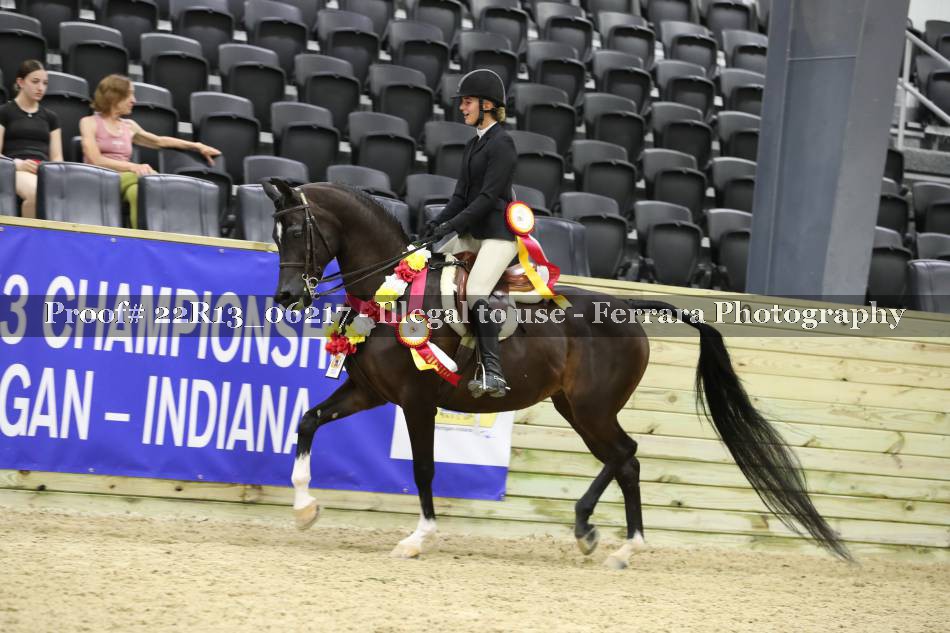 Proof 22R13_06217