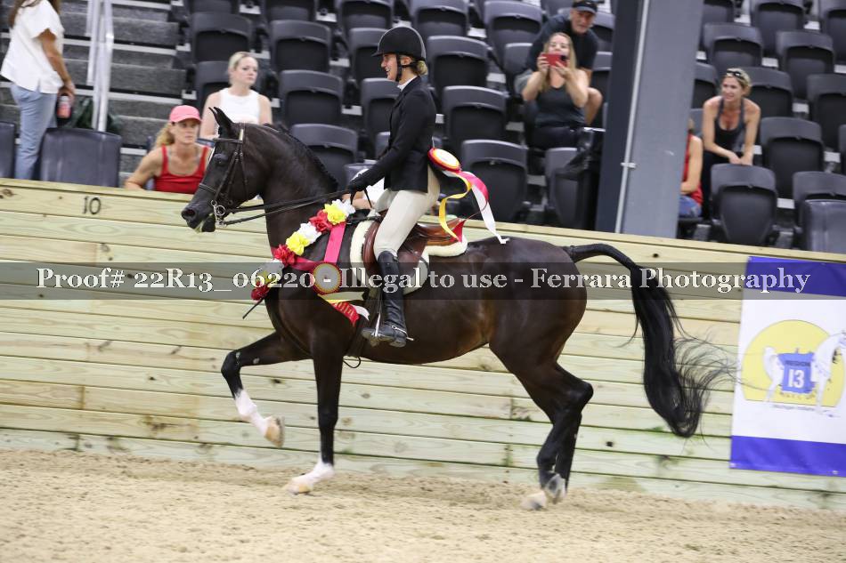 Proof 22R13_06220