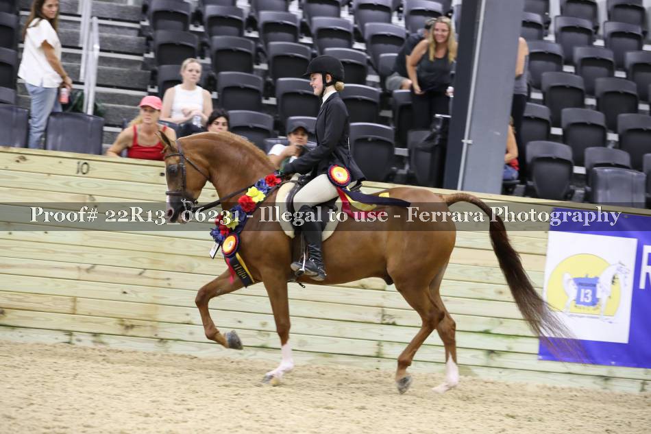 Proof 22R13_06231