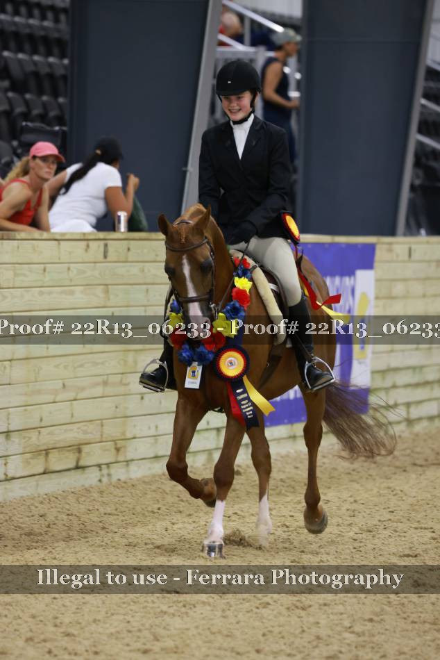 Proof 22R13_06233
