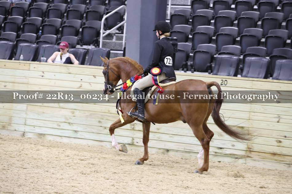 Proof 22R13_06234