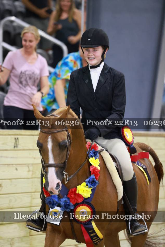 Proof 22R13_06236
