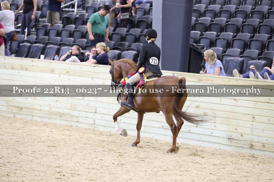 Proof 22R13_06237