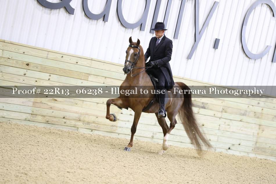 Proof 22R13_06238