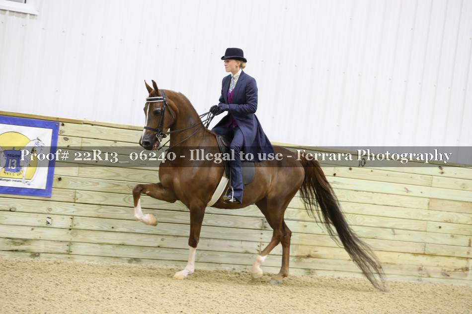 Proof 22R13_06240