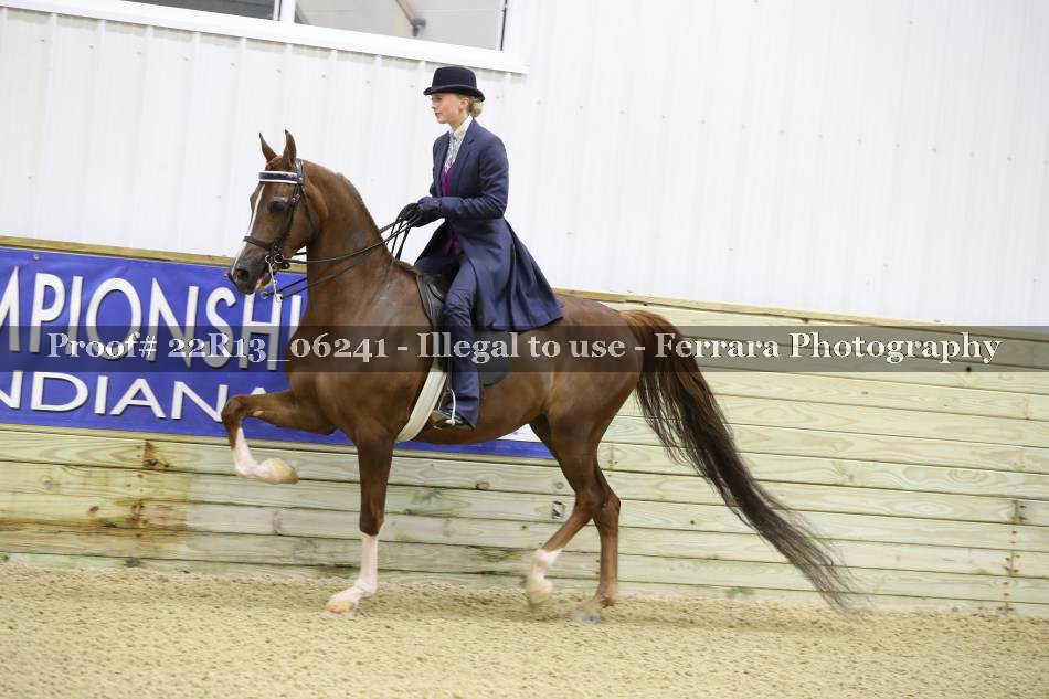 Proof 22R13_06241