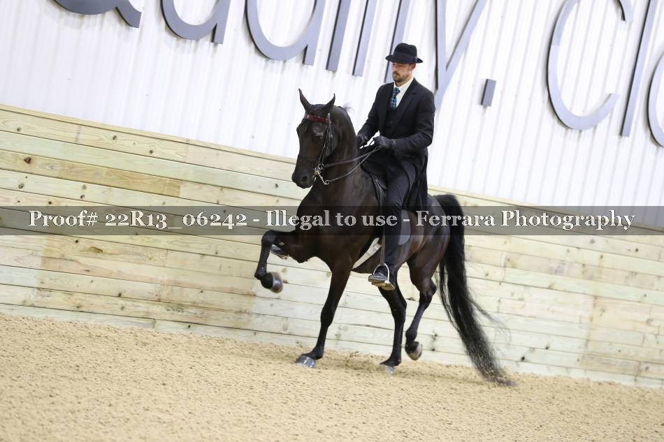 Proof 22R13_06242