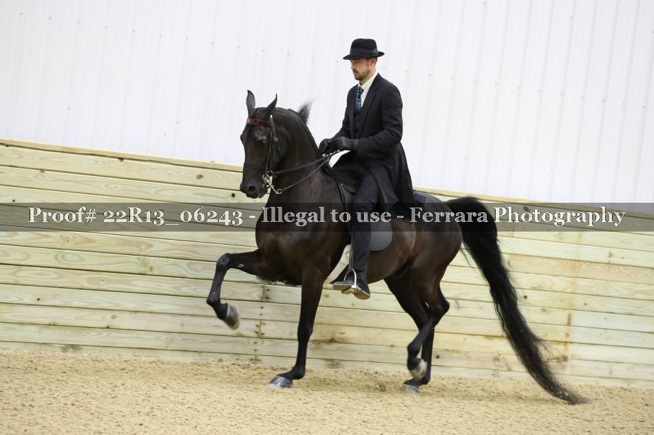 Proof 22R13_06243