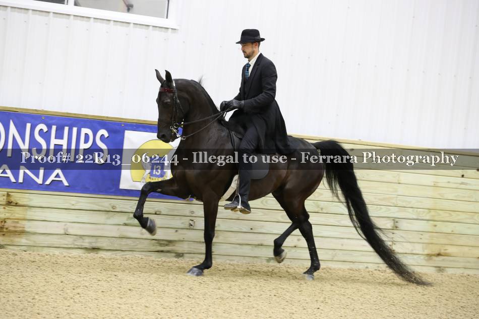 Proof 22R13_06244