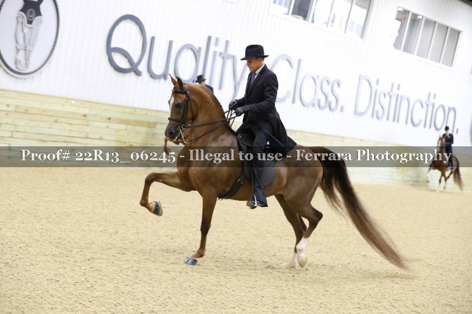 Proof 22R13_06245