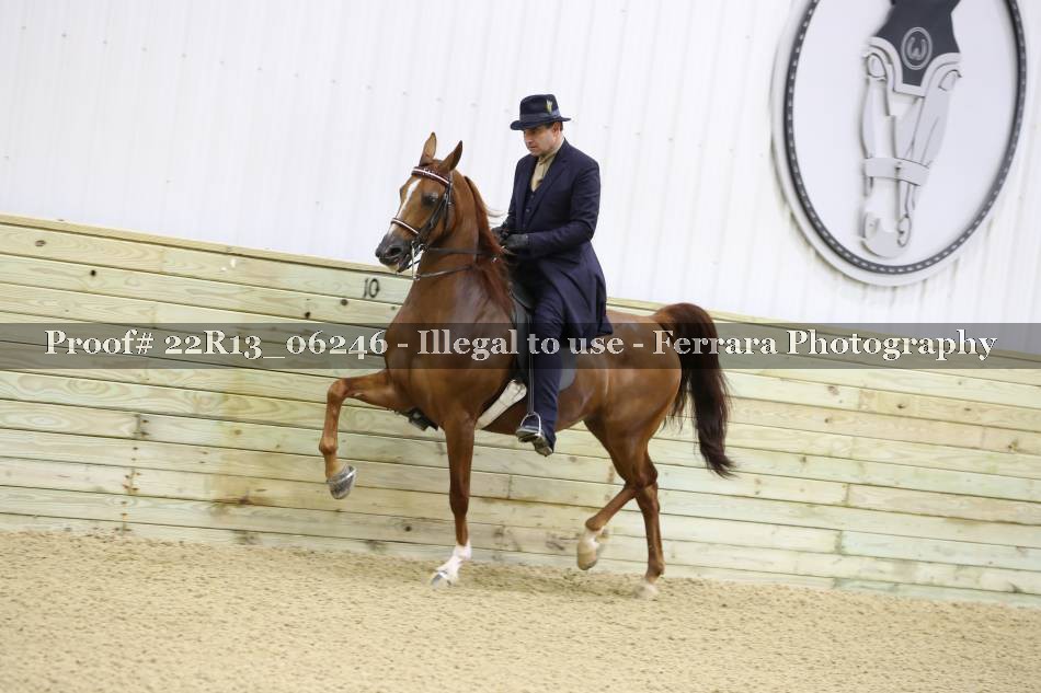 Proof 22R13_06246