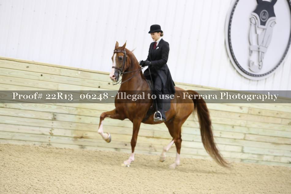 Proof 22R13_06248