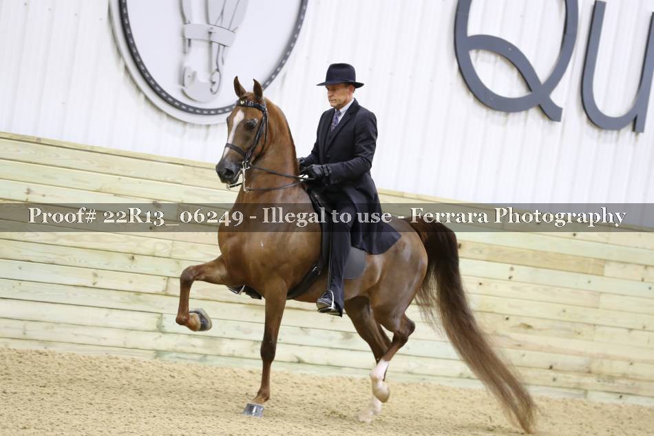 Proof 22R13_06249