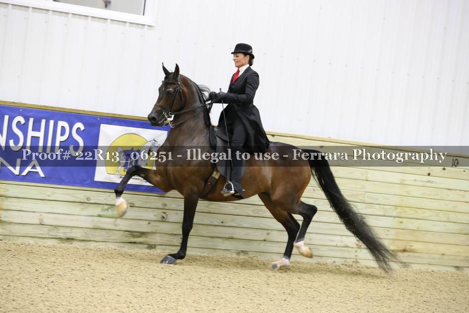 Proof 22R13_06251
