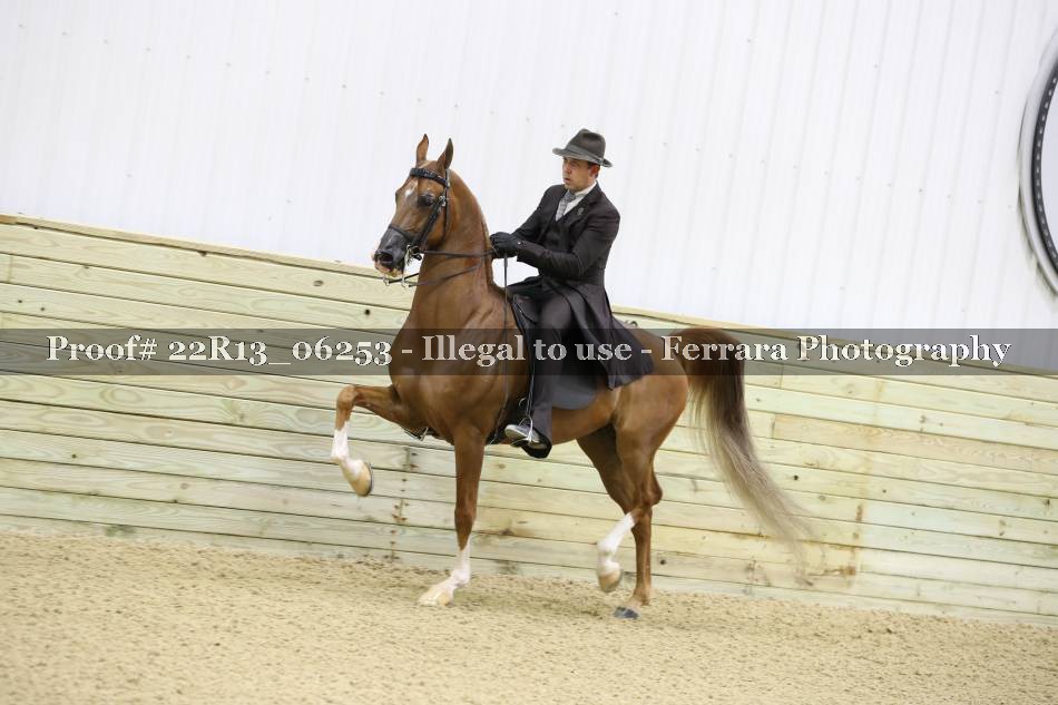 Proof 22R13_06253