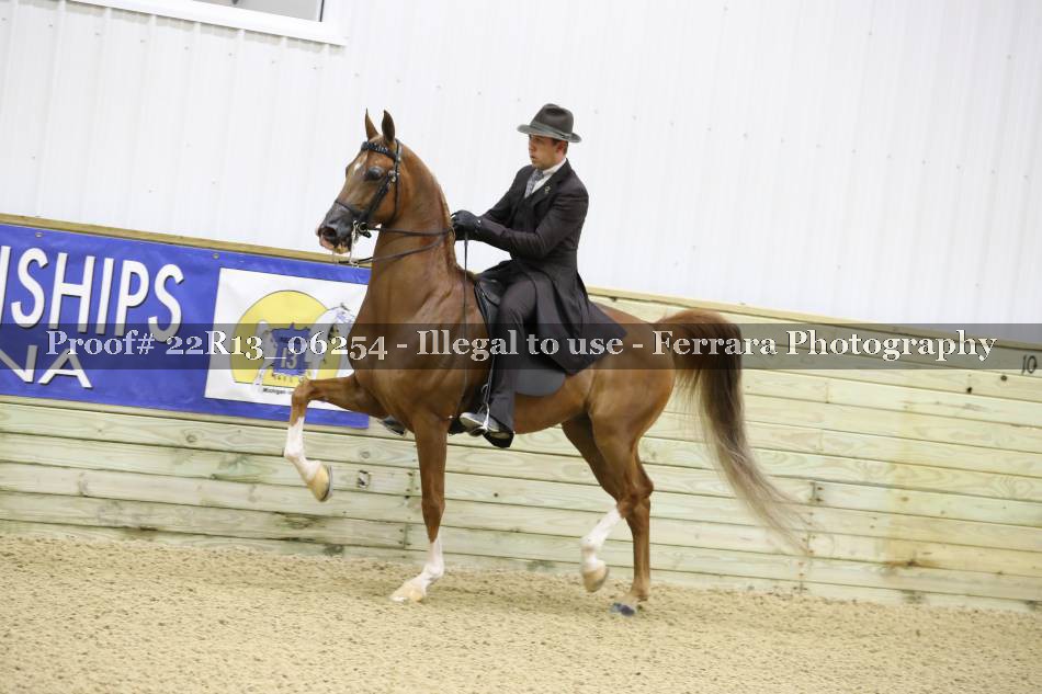 Proof 22R13_06254