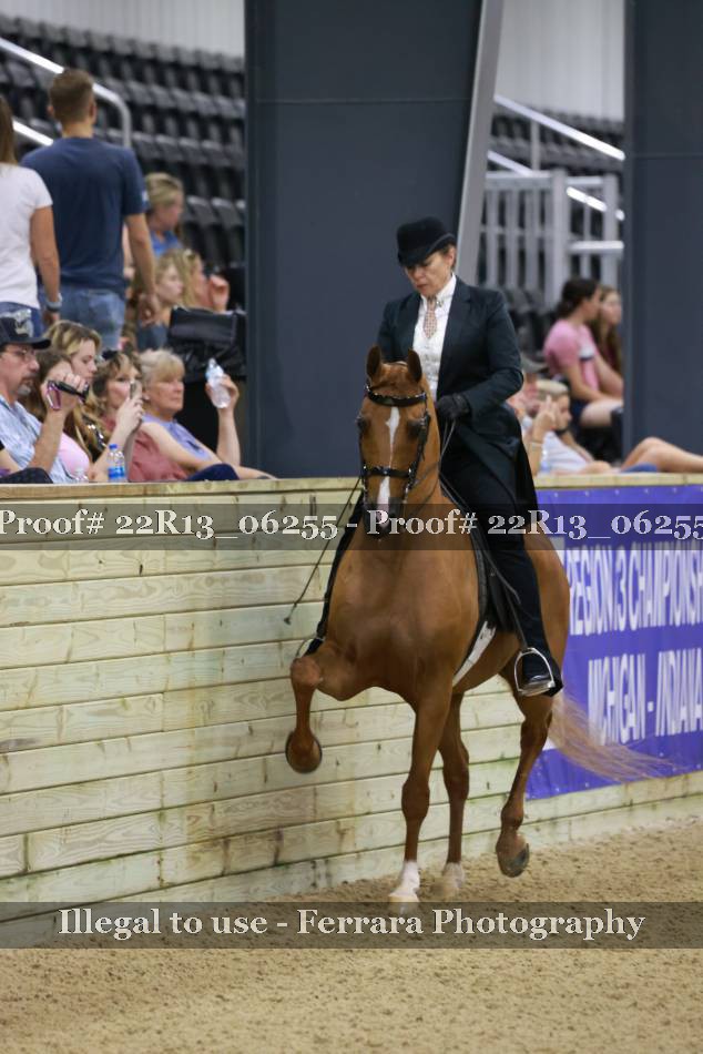 Proof 22R13_06255