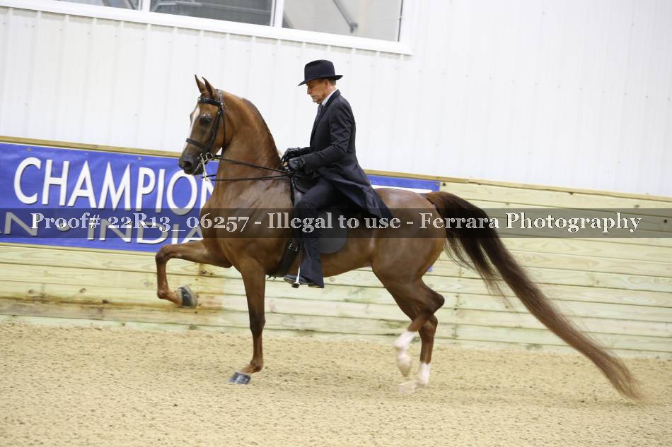 Proof 22R13_06257