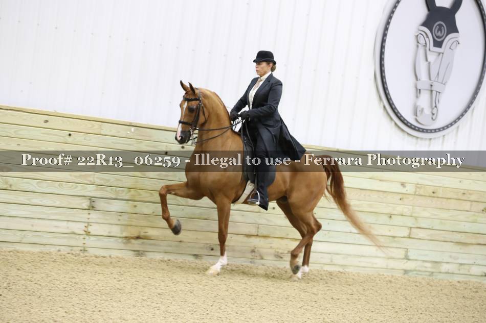 Proof 22R13_06259