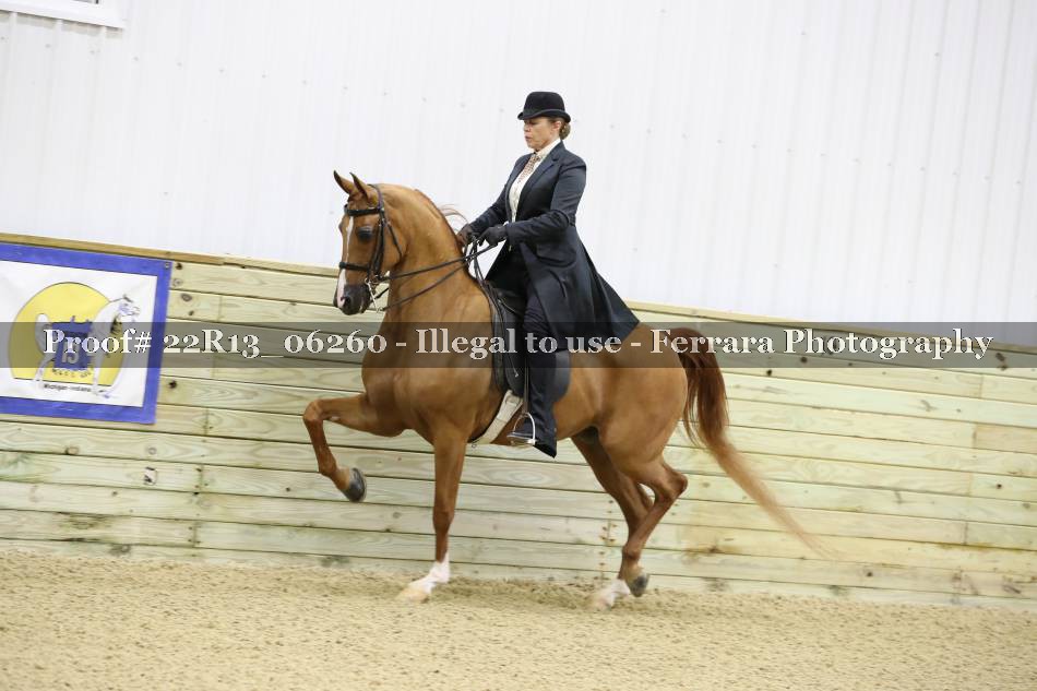 Proof 22R13_06260