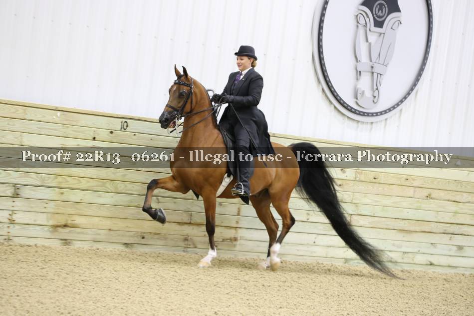 Proof 22R13_06261