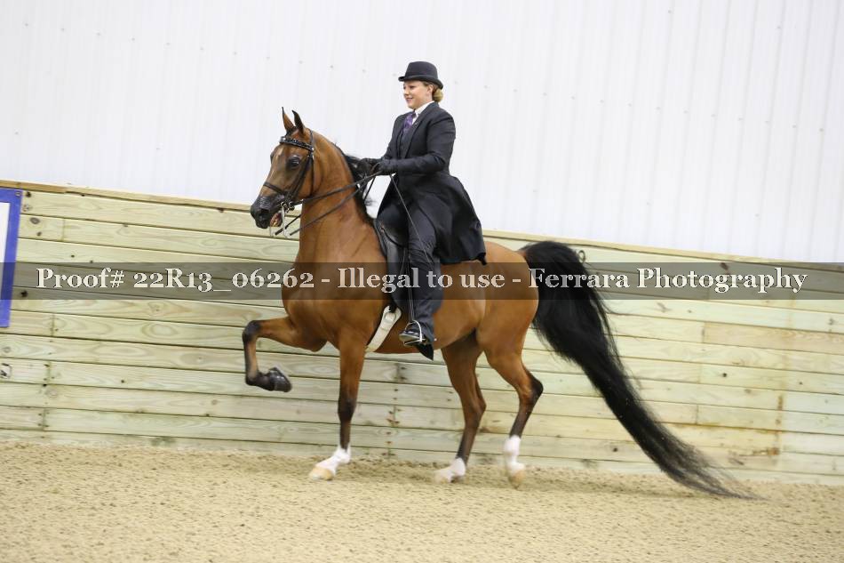Proof 22R13_06262