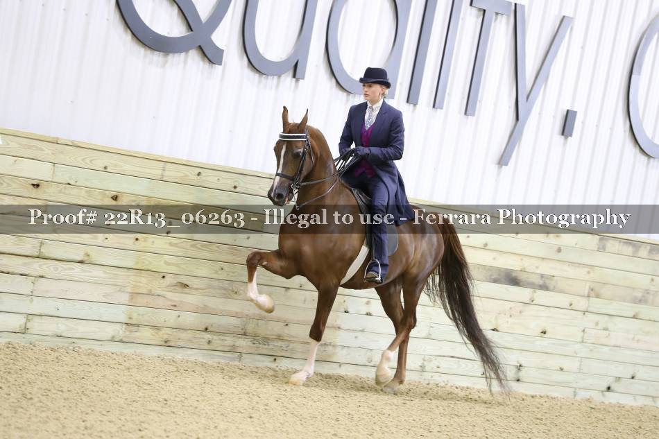 Proof 22R13_06263