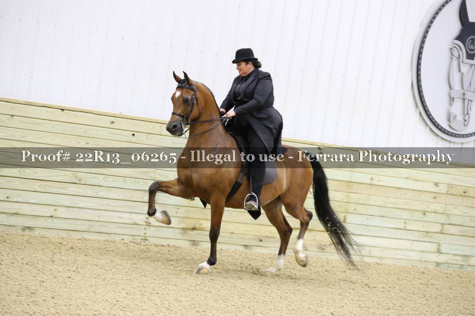 Proof 22R13_06265