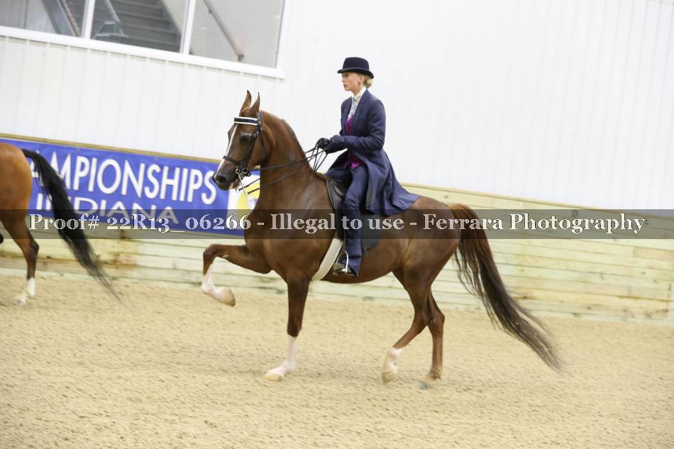 Proof 22R13_06266